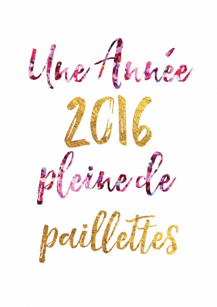 voeux2016