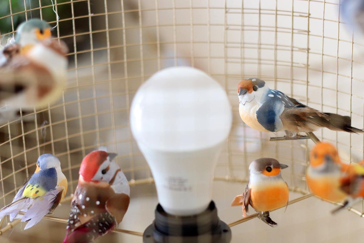 DIY déco : transformer une cage à oiseaux en lanterne - Marie Claire