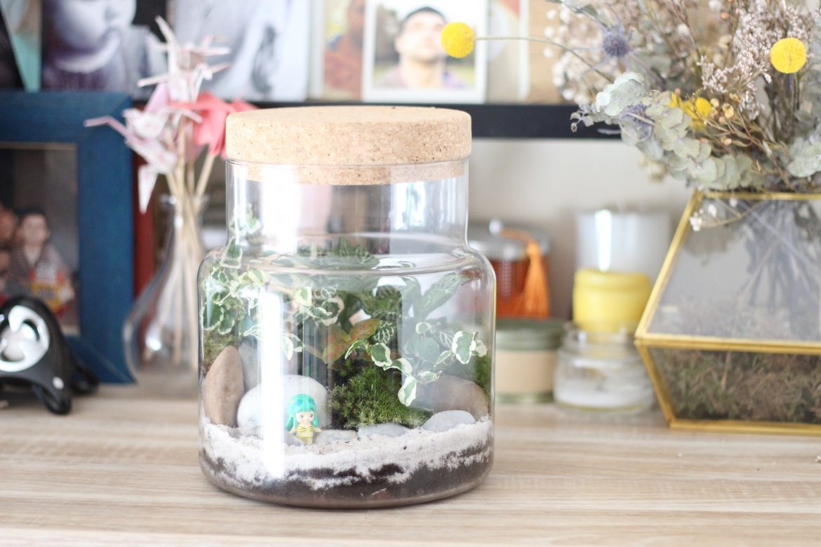 Terrarium  Jane Nantes